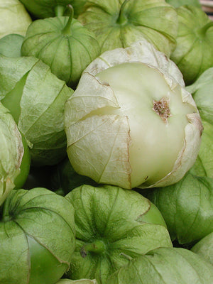 Close-up of green tomatillos with a brown spot.