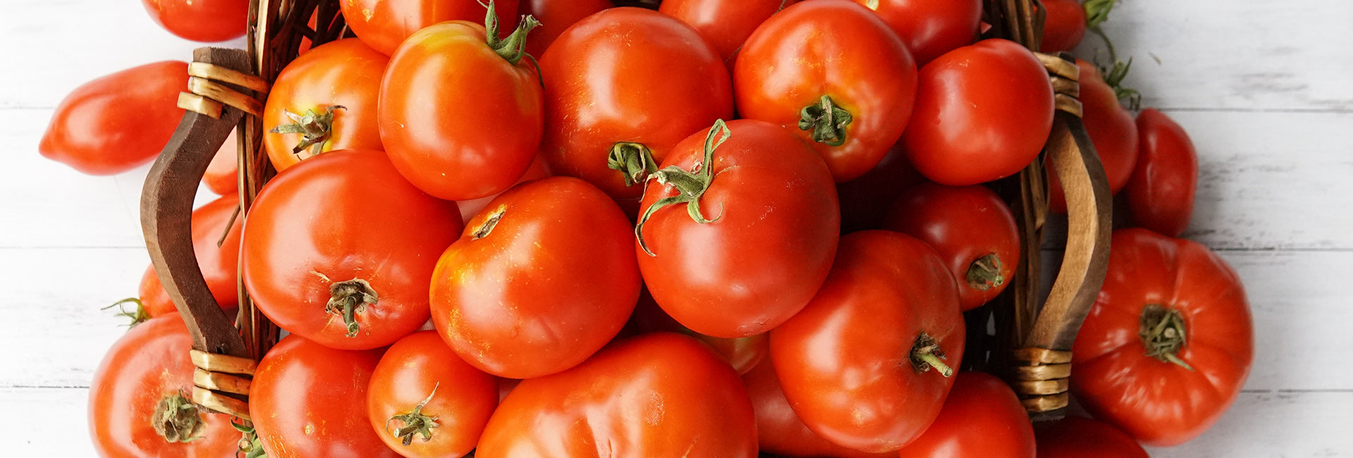 Basket filled with red tomatoes on a white wooden surface