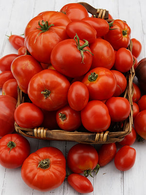 Basket of red tomatoes on a white wooden surface