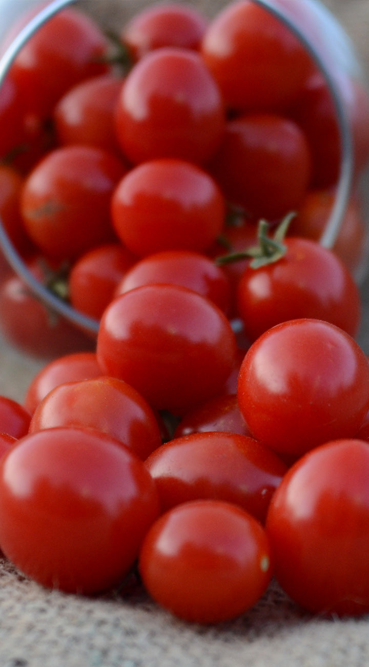 Close-up of red cherry tomatoes in a glass bowl