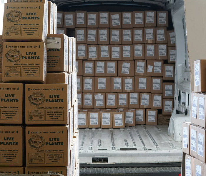 Truck bed filled with stacked boxes labeled 'Live Plants' on a beige background