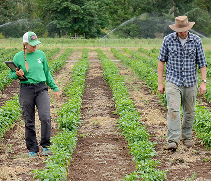 Two people walking through a field with irrigation systems in the background