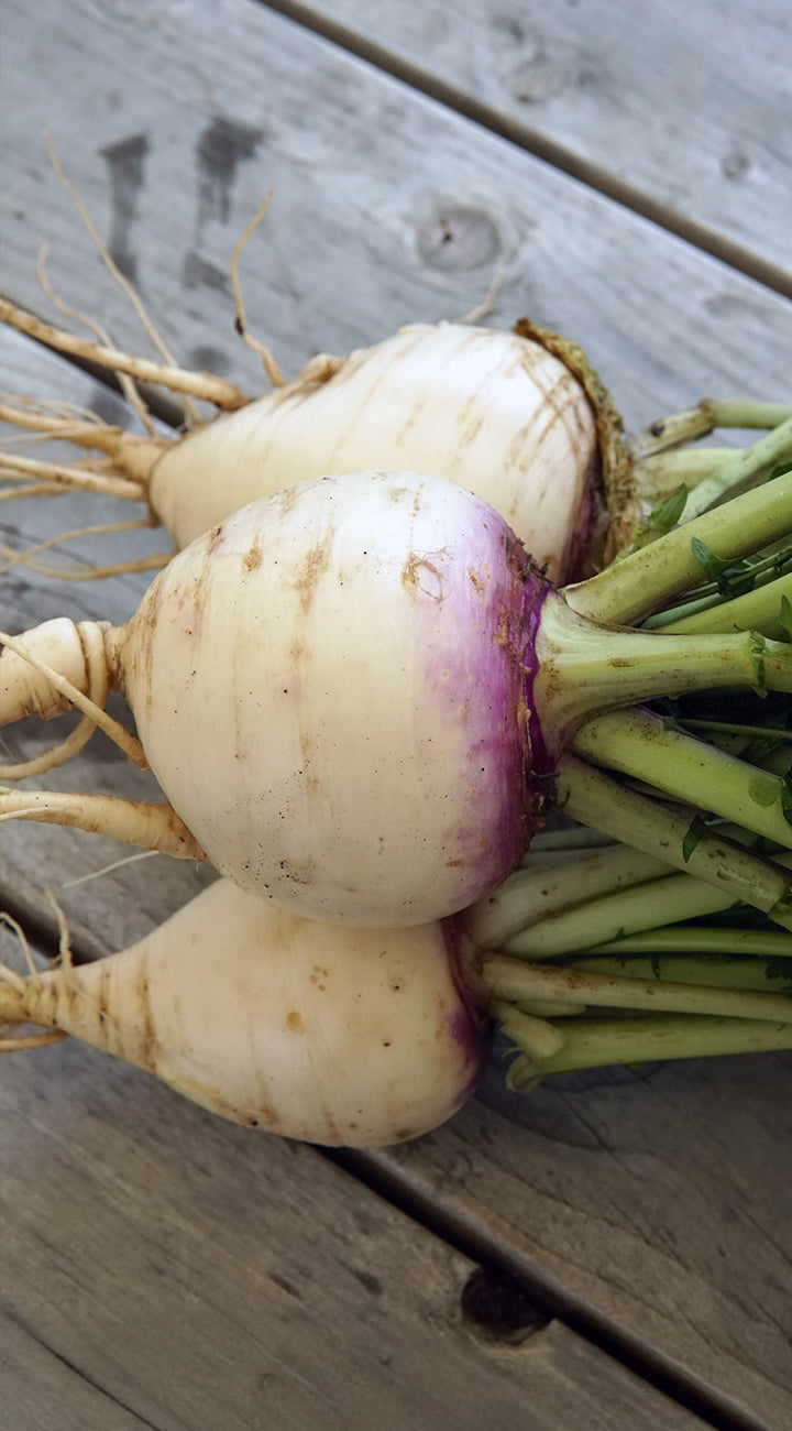 Three turnips on a wooden surface