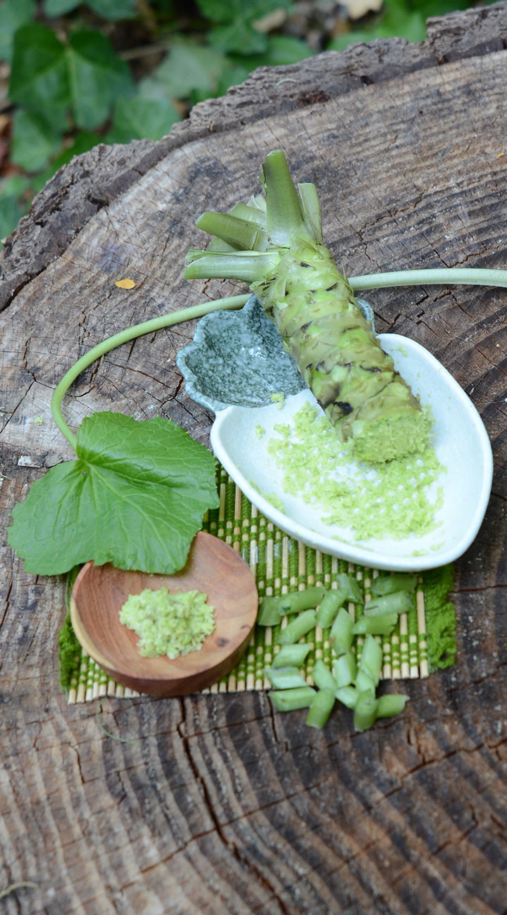 wasabi root with green leaves on a wooden surface