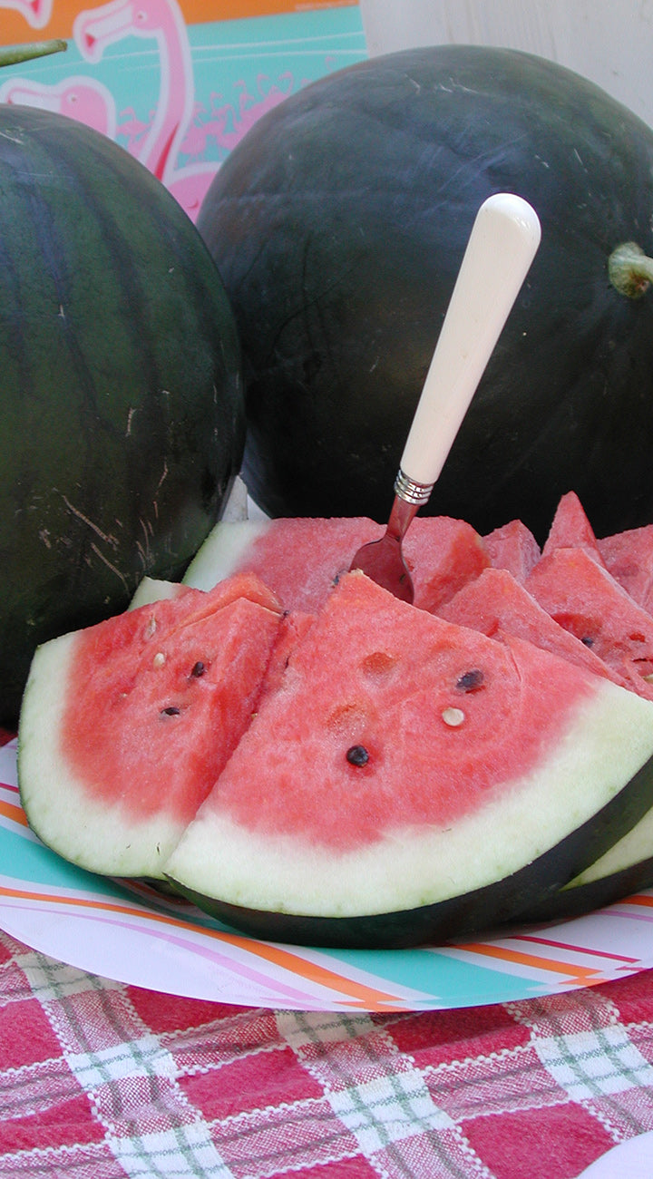 Sliced watermelon with a spoon on a colorful tablecloth