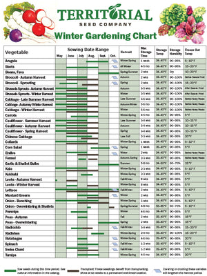 Territorial Seed Company Winter Gardening Chart with vegetable names, sowing dates, and harvest times.