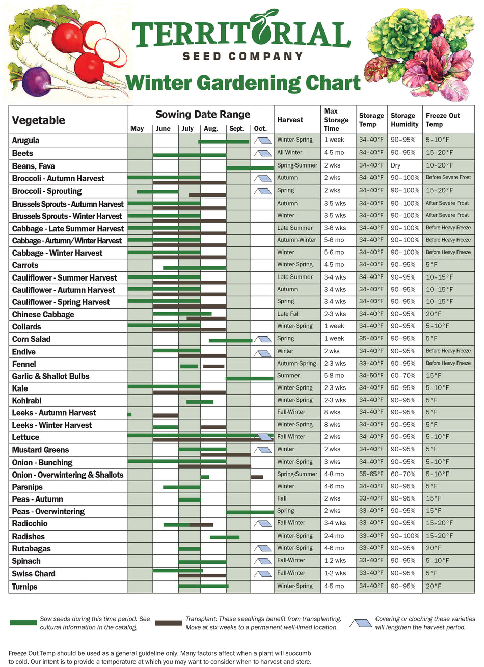 Territorial Seed Company winter gardening chart with vegetable names, sowing dates, and harvest information.