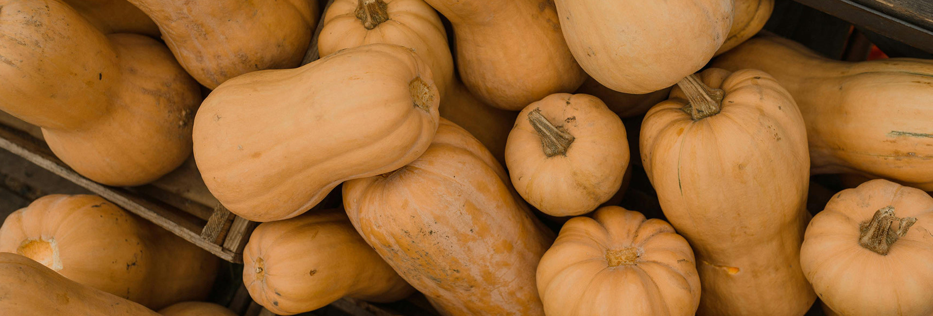 Stack of butternut squash on a wooden surface