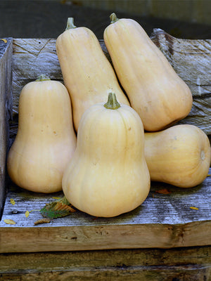 Butternut squash on a wooden surface