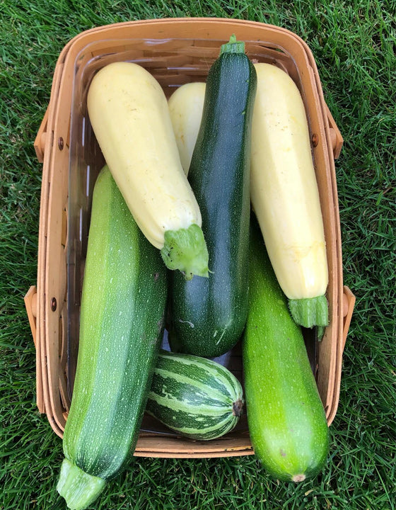 Basket of zucchinis on a grassy background