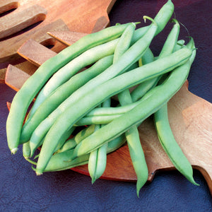 Top view of Blue Lake pole bean pods showcasing long, straight dark green pods on a wooden cutting board