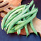 Top view of Blue Lake pole bean pods showcasing long, straight dark green pods on a wooden cutting board