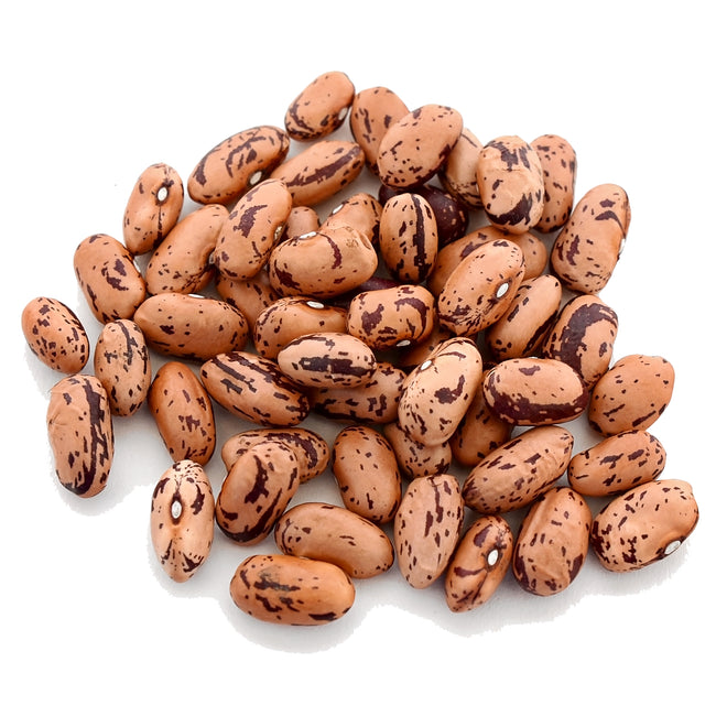 Close-up of Bingo dry shelling beans showcasing tan seeds with reddish-brown speckles on white background