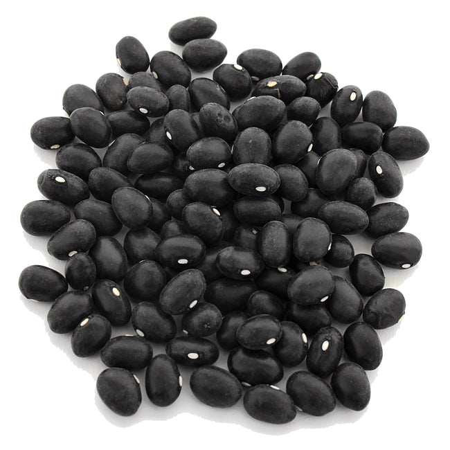 Top-down view of Black Coco dry shelling bean seeds showing smooth black seeds with white hilums on a white background