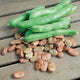 Close-up of Broad Windsor fava bean seeds and green pods showing buff-colored seeds on a wooden surface