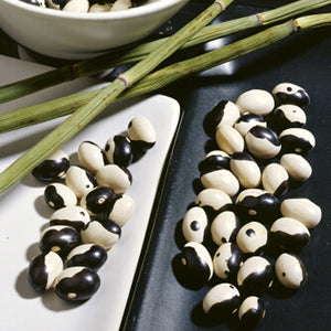 Close-up of Yin Yang bean seeds with distinctive black-and-white yin-yang markings on white and black dishes