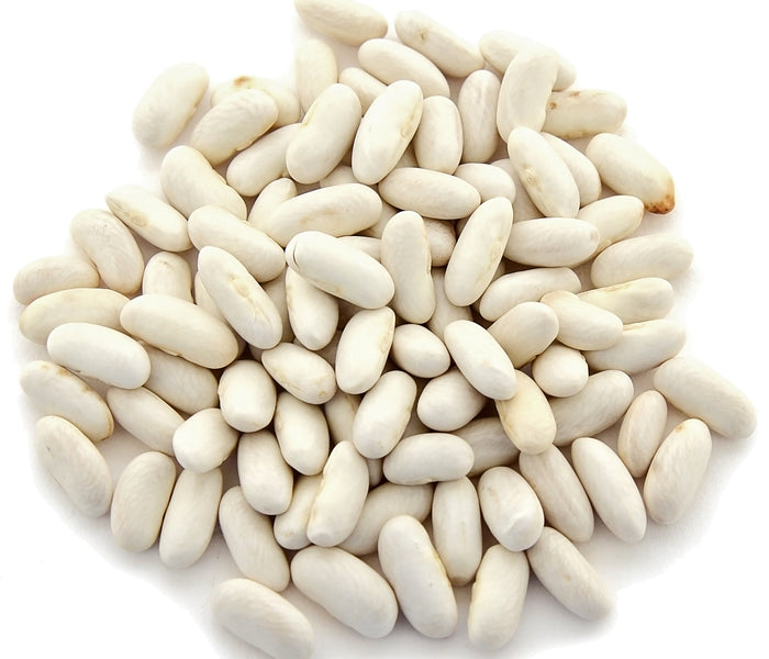 Top view of Cannellini Lingot dry beans showing smooth white, kidney-shaped seeds on a white background