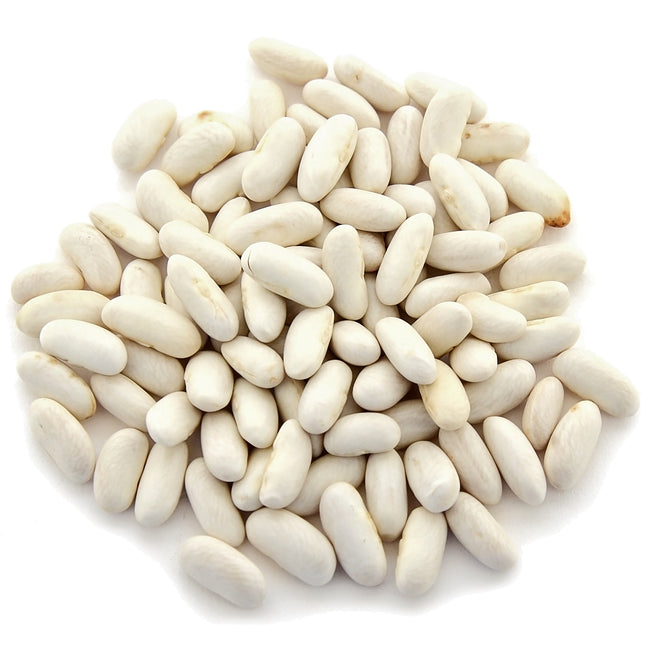 Top view of Cannellini Lingot dry beans showing smooth white, kidney-shaped seeds on a white background