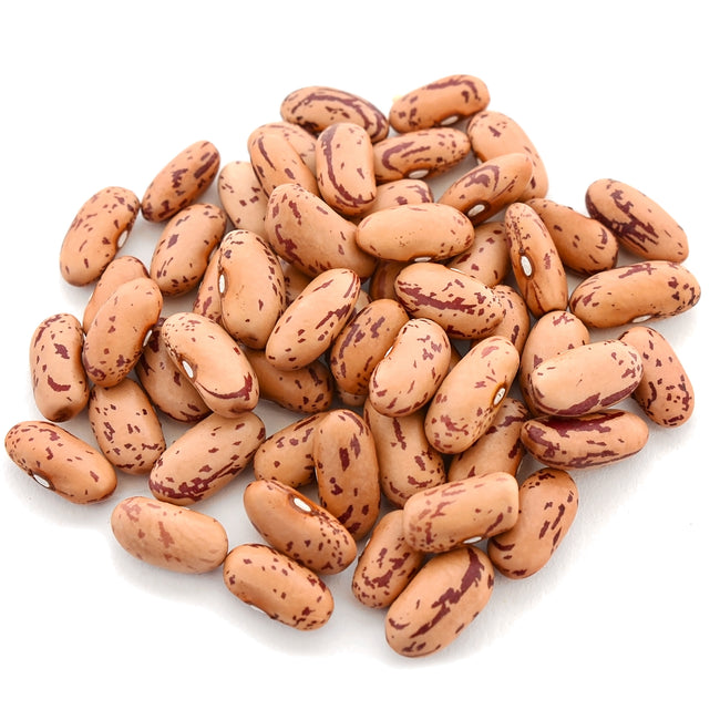 Close-up of Missouri Bill dry shelling beans showing cream-colored seeds with crimson streaks on white background