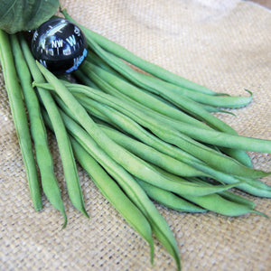COMPASS-BEAN