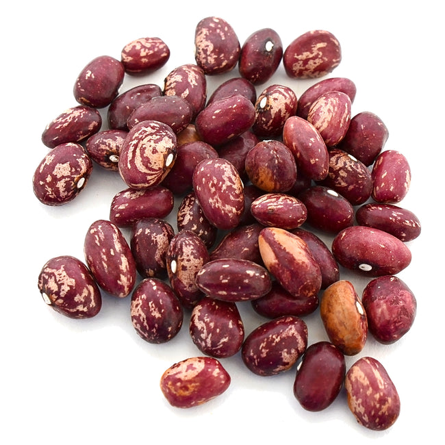 Top view of cranberry beans showing maroon and cream speckled dry seeds on white background