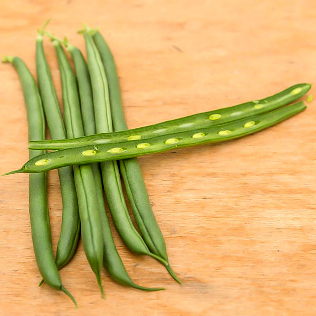 Front view of Seychelles pole snap beans showcasing slender light green pods on a wooden background