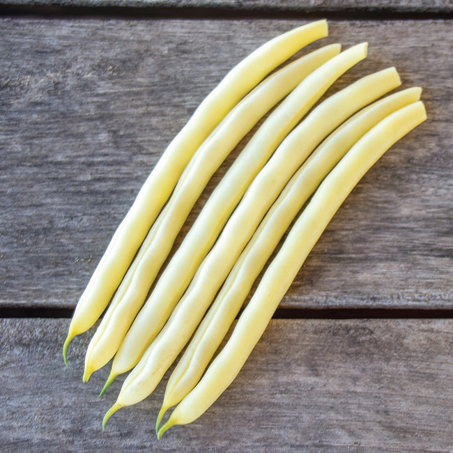 Top view of Gold Rush wax beans showcasing lemon-yellow pods about 5 1/2 inches long on a weathered wood background