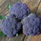 Close-up of three Jacaranda broccoli crowns showing vibrant purple heads and blue-green leaves on a wooden surface