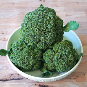 Close-up of Gemini broccoli head showcasing tight light-green beads and a deeply domed crown on white background