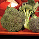 Front view of Umpqua broccoli heads showing large dense green crowns with short stems on red background