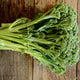 Close-up of Aspabroc broccolini stems showcasing elongated tender stems and small domed florets on a wooden surface