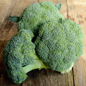 Close-up of Emerald Crown broccoli head showing blue-green, finely beaded dome and short succulent stalk on white background