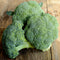Close-up of Emerald Crown broccoli head showing blue-green, finely beaded dome and short succulent stalk on white background