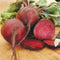 Close-up of Early Wonder Tall Top beet showing deep red globe and tall glossy leaves on white background