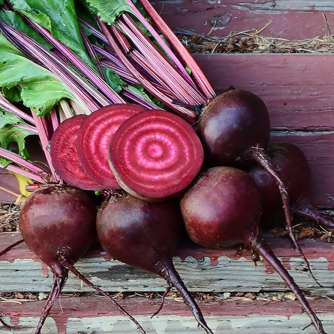 Close-up of Lutz Green Leaf beets with sliced ringed interior and fuchsia-veined greens on weathered wooden steps