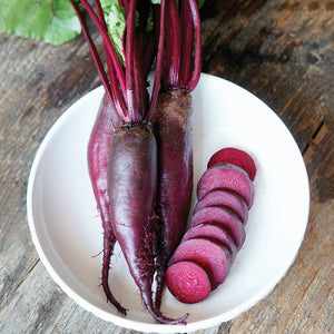 CYLINDRA-BEET