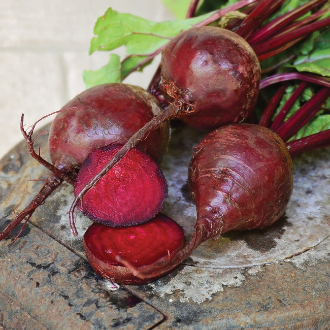 Front view of Merlin beet showing round 3 to 4 inch deep red roots and glossy dark green leaves on a wooden surface