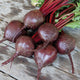 Close-up of Bohan beet roots showcasing round deep-red roots with smooth skin and attached greens on a light background