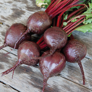Close-up of Bohan beet roots showcasing round deep-red roots with smooth skin and attached greens on a light background