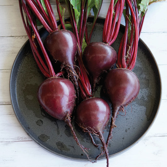 BRESKO BEET