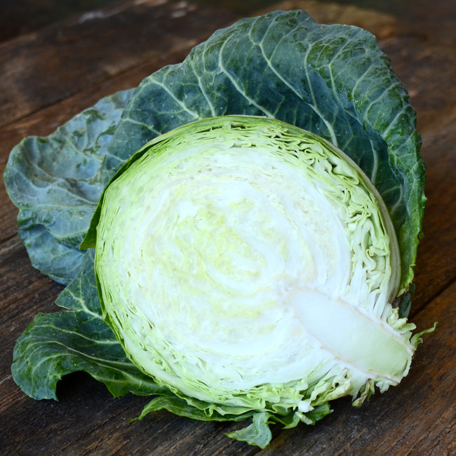 TIARA-CABBAGE