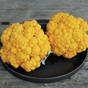 Close-up of two Clementine cauliflower heads showing bright electric-orange 6-inch crowns on a black plate