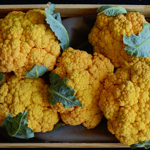 Close-up of Flame Star cauliflower heads showing pastel orange curds and green leaves on white background