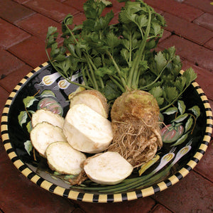 Front view of Brilliant celeriac root showcasing knobby brown exterior and pale interior on dark background