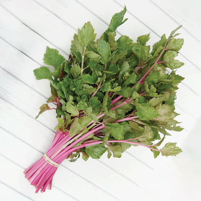 Top-down view of Chinese Pink cutting celery showcasing slender pink-and-cream-streaked stalks and light green leaves on a white slatted background