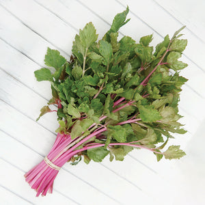 Top-down view of Chinese Pink cutting celery showcasing slender pink-and-cream-streaked stalks and light green leaves on a white slatted background