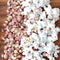 Close-up of Early Pink popcorn kernels and popped white popcorn showcasing pink kernels and fluffy popped corn on a wooden board