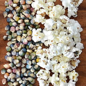Top-down view of Glass Gem corn kernels showcasing multicolored jewel-tone kernels and popped white popcorn on a wooden board