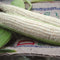 Close-up of Silver Queen sweet white corn ears partly husked showcasing plump kernels on a burlap sack background