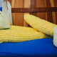 Two ears of cafe corn on a blue surface with a wooden background
